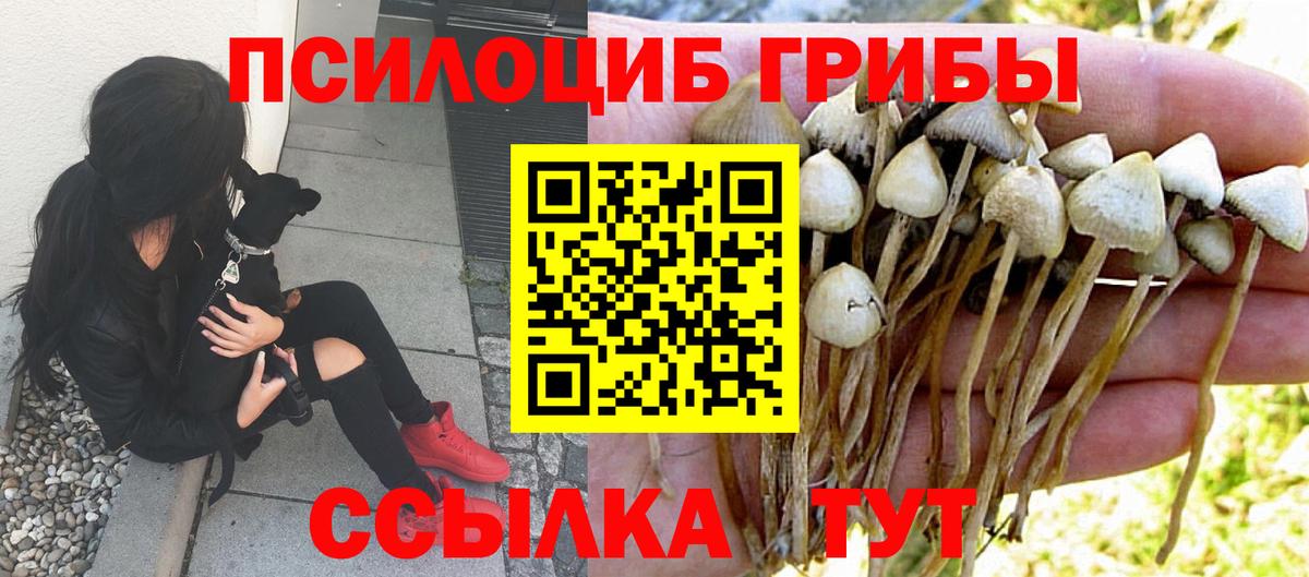 Лиски  Псилоцибиновые грибы Psilocybine cubensis  где найти наркотики  Вход с VPN 